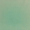Jersey coton élasthanne vert pastel - 1860004